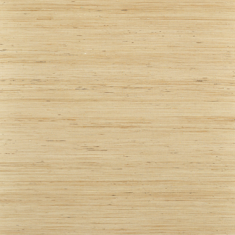 T19654 Sydney Grasscloth Resource Volume 6 Taupe Wallpaper by Thibaut