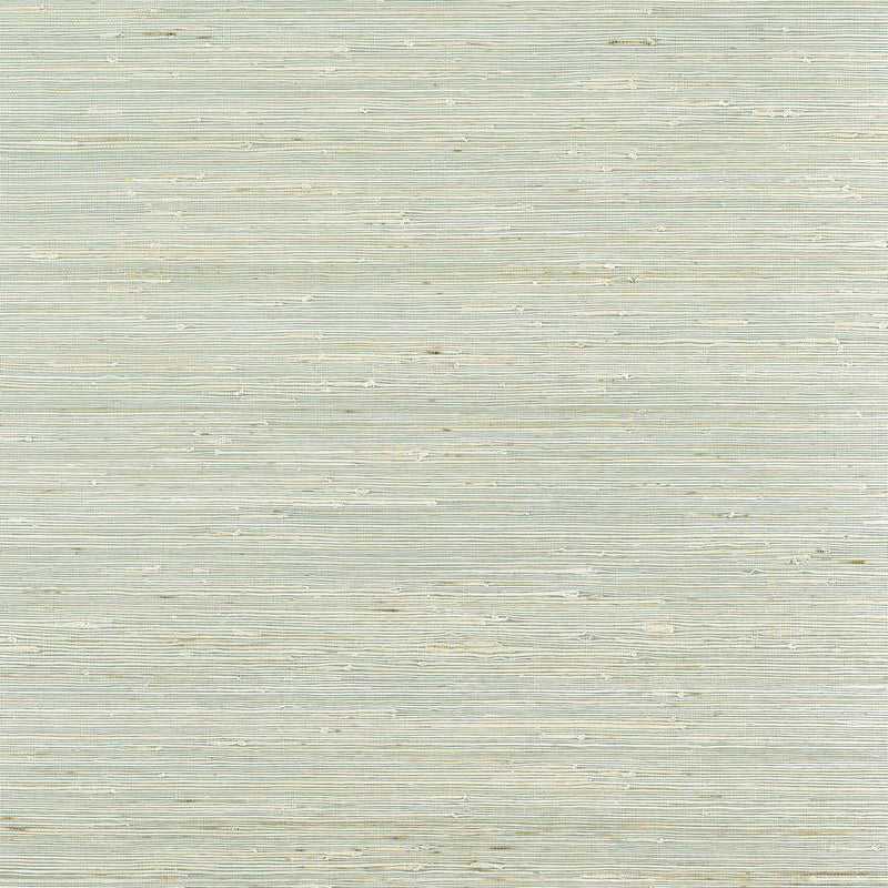 T19656 Sydney Grasscloth Resource Volume 6 Light Spruce Wallpaper by Thibaut
