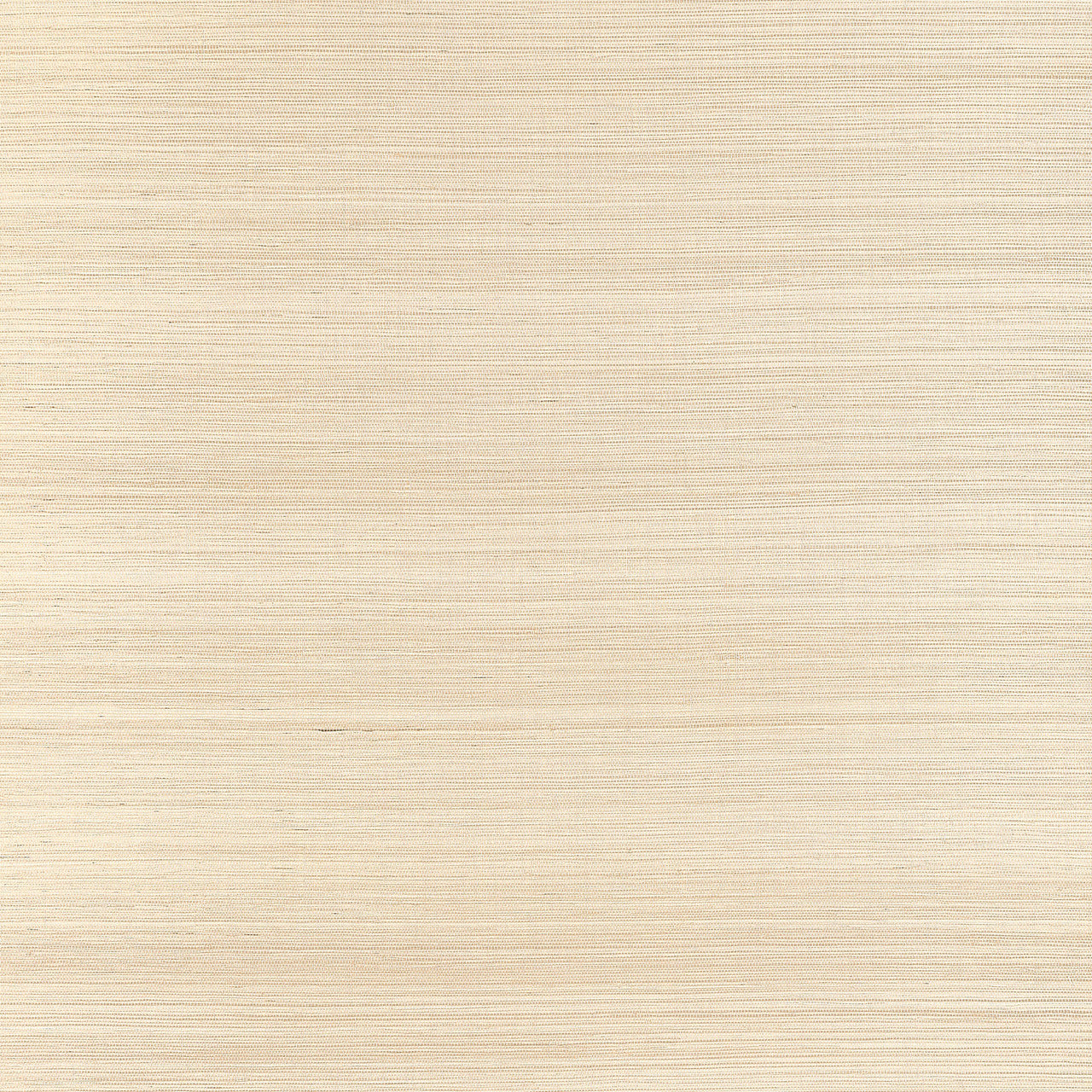 T19672 Windward Sisal Grasscloth Resource Volume 6 Sand Wallpaper by Thibaut