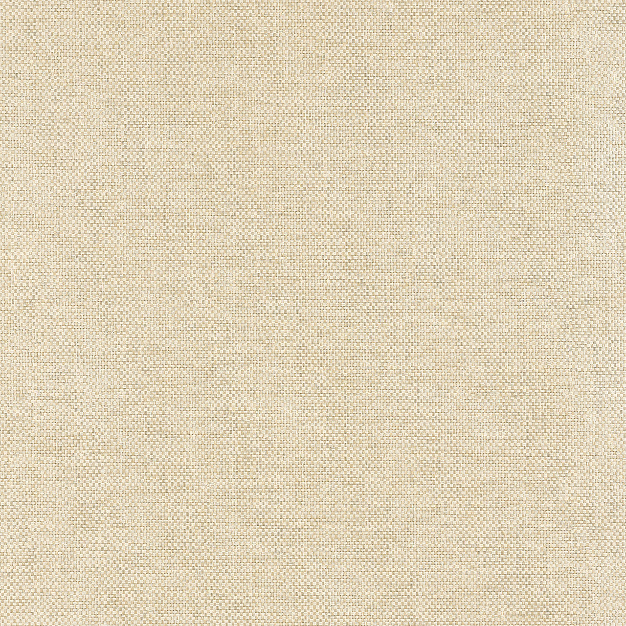 T19682 Clarkson Weave Grasscloth Resource Volume 6 Wheat Wallpaper by Thibaut