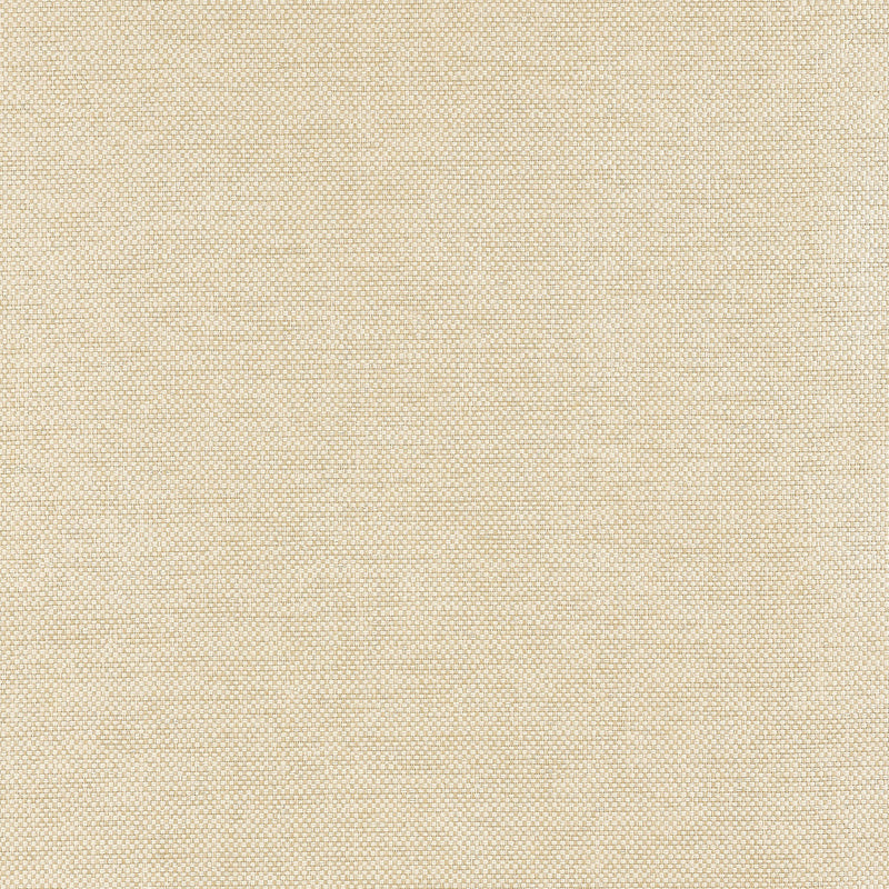 T19682 Clarkson Weave Grasscloth Resource Volume 6 Wheat Wallpaper by Thibaut