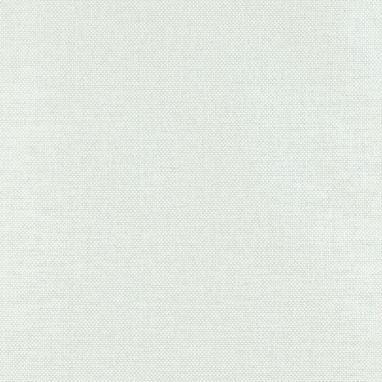 T19684 Clarkson Weave Grasscloth Resource Volume 6 Seaglass Wallpaper by Thibaut