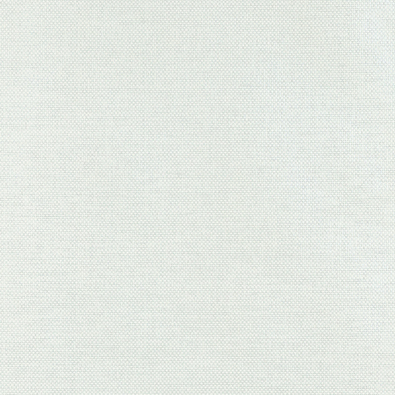 T19684 Clarkson Weave Grasscloth Resource Volume 6 Seaglass Wallpaper by Thibaut