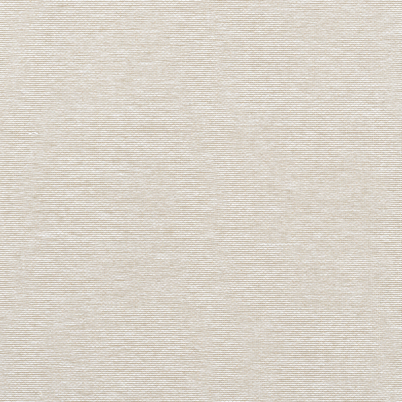 T19696 Edwards Paper Grasscloth Resource Volume 6 Putty Wallpaper by Thibaut