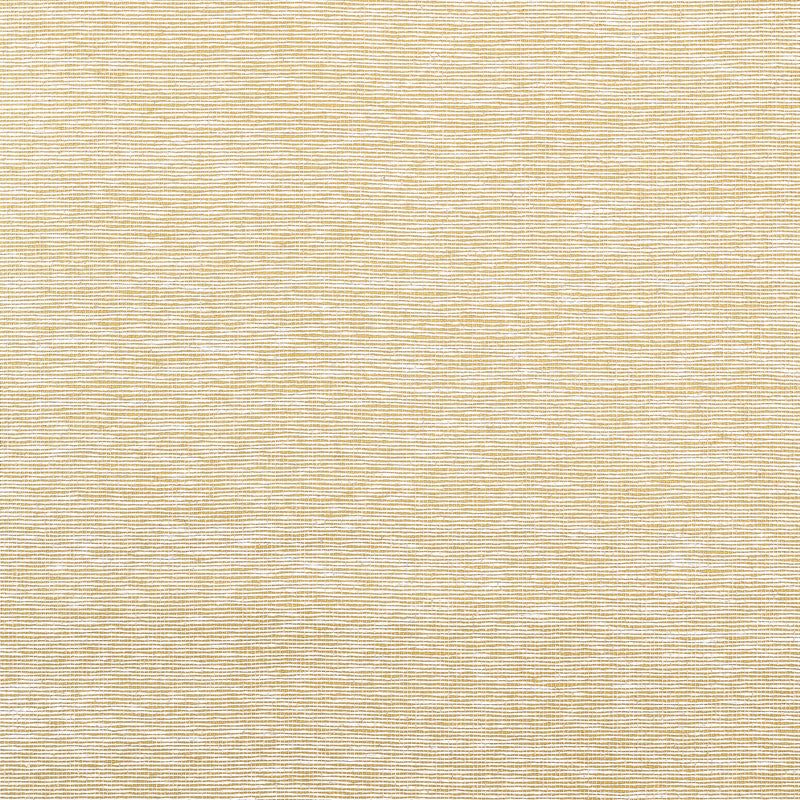 T19697 Edwards Paper Grasscloth Resource Volume 6 Metallic Gold Wallpaper by Thibaut