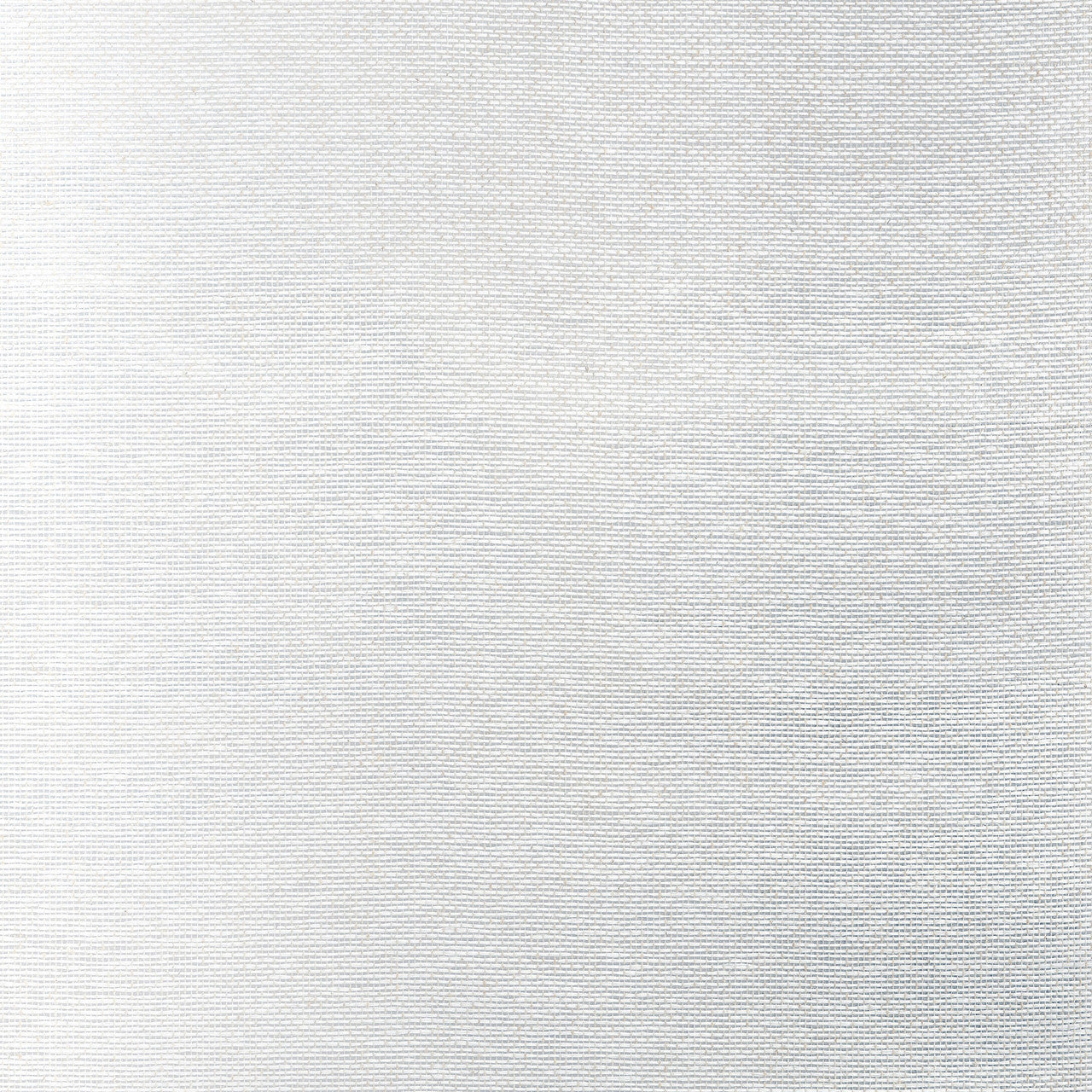 T19698 Edwards Paper Grasscloth Resource Volume 6 Metallic Silver Wallpaper by Thibaut