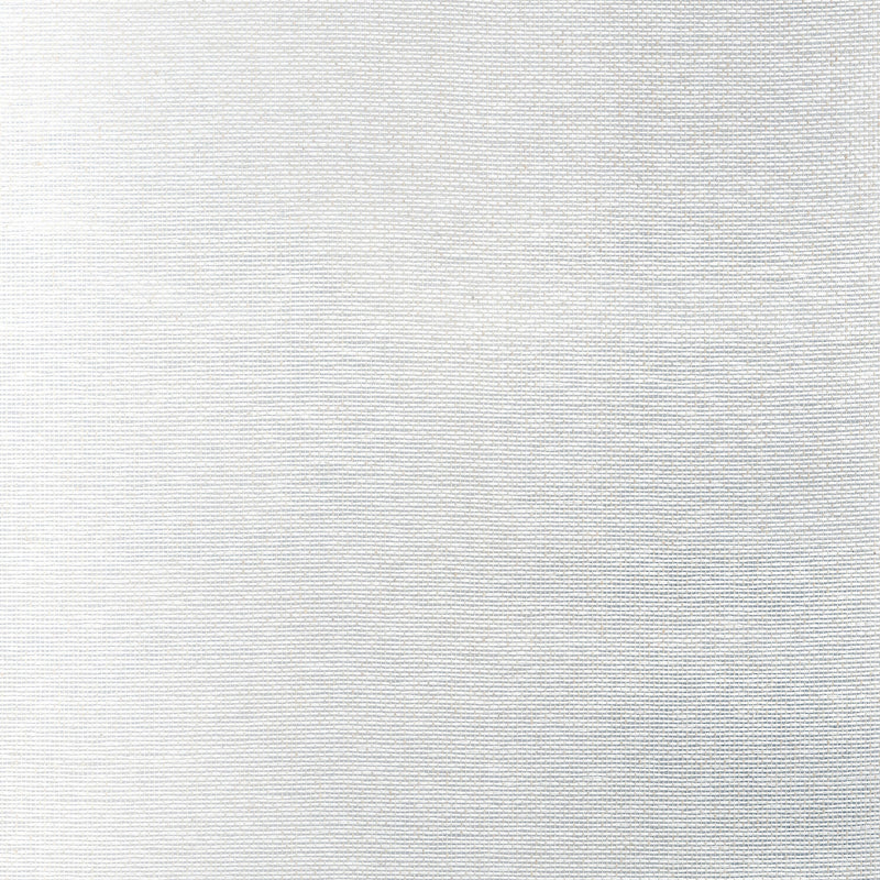 T19698 Edwards Paper Grasscloth Resource Volume 6 Metallic Silver Wallpaper by Thibaut