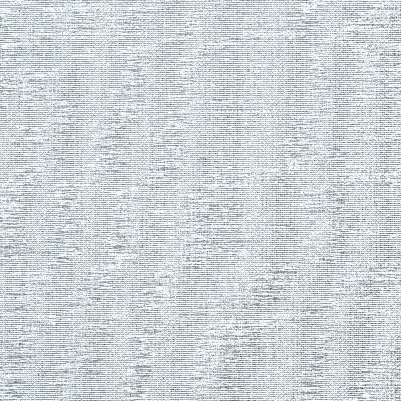 T19699 Edwards Paper Grasscloth Resource Volume 6 Robin's Egg Wallpaper by Thibaut