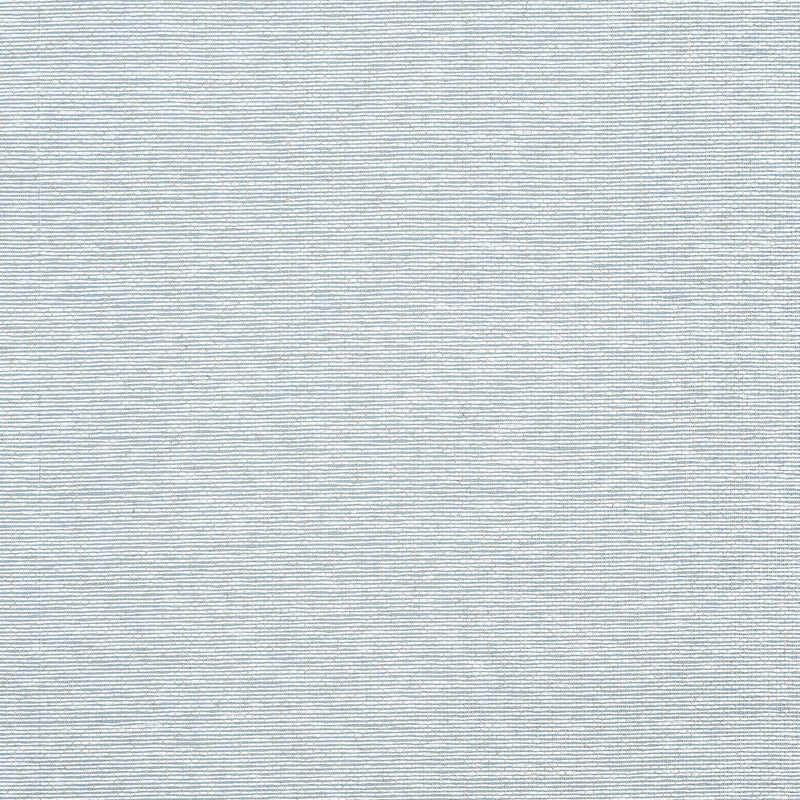 T19699 Edwards Paper Grasscloth Resource Volume 6 Robin's Egg Wallpaper by Thibaut