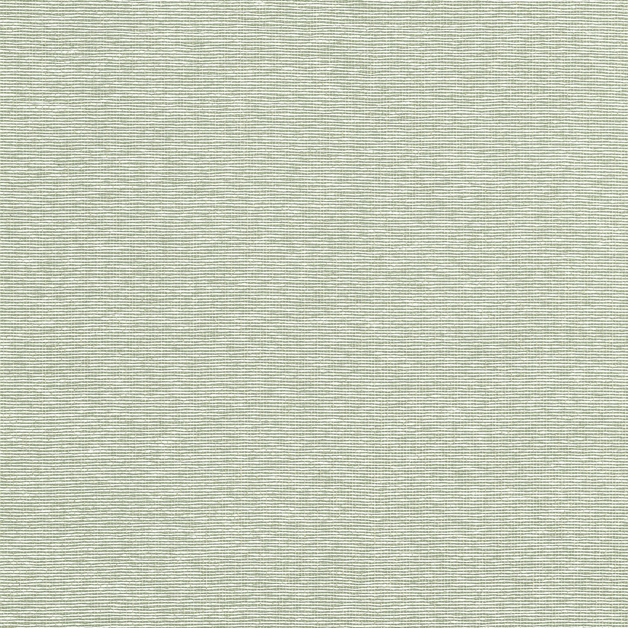 T19703 Edwards Paper Grasscloth Resource Volume 6 Green Wallpaper by Thibaut