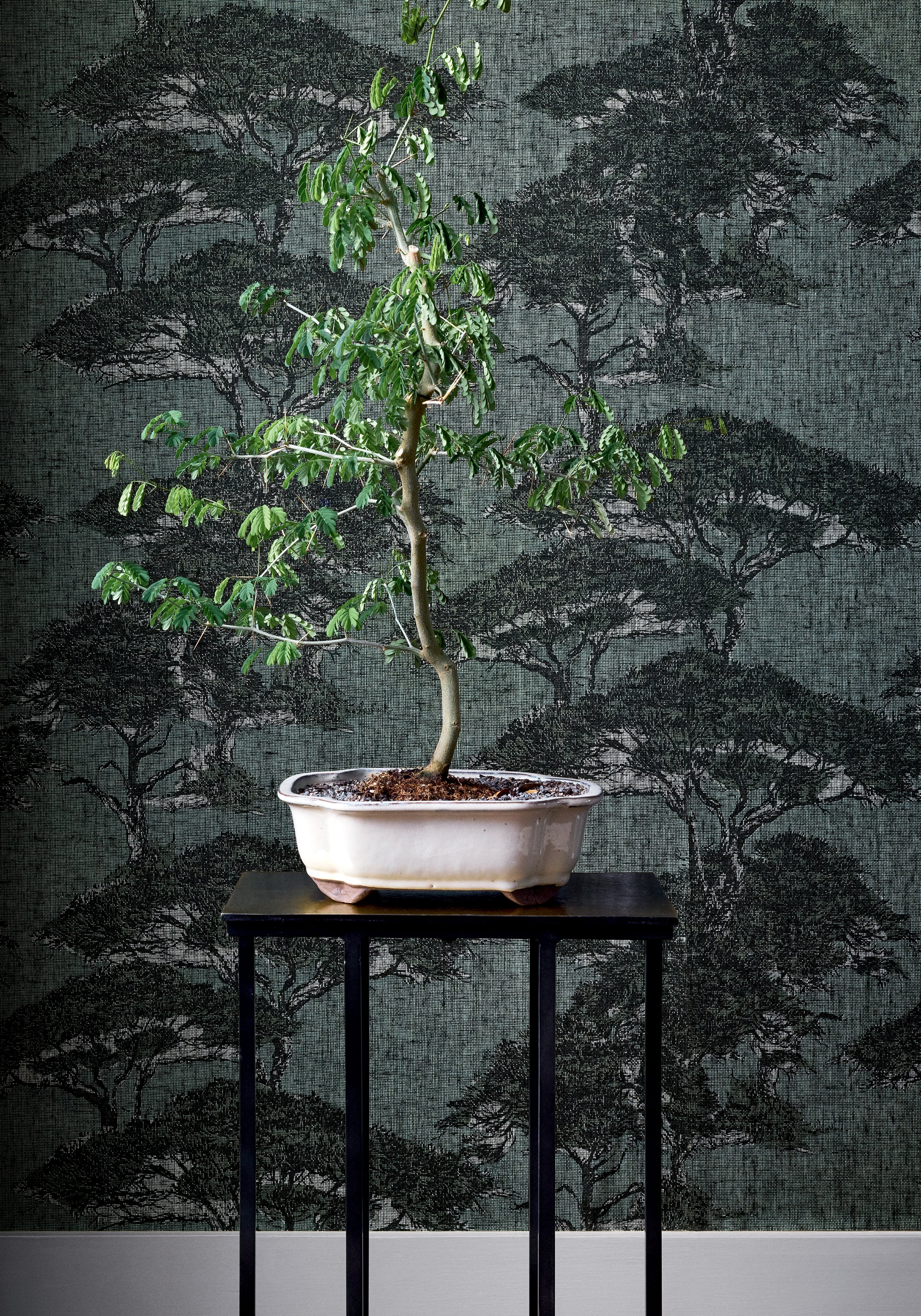 T24434 Torrey Pines Mineral Yutori Wallpaper by Thibaut