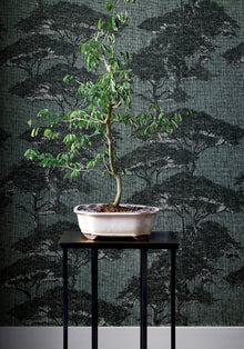 T24434 Torrey Pines Mineral Yutori Wallpaper by Thibaut