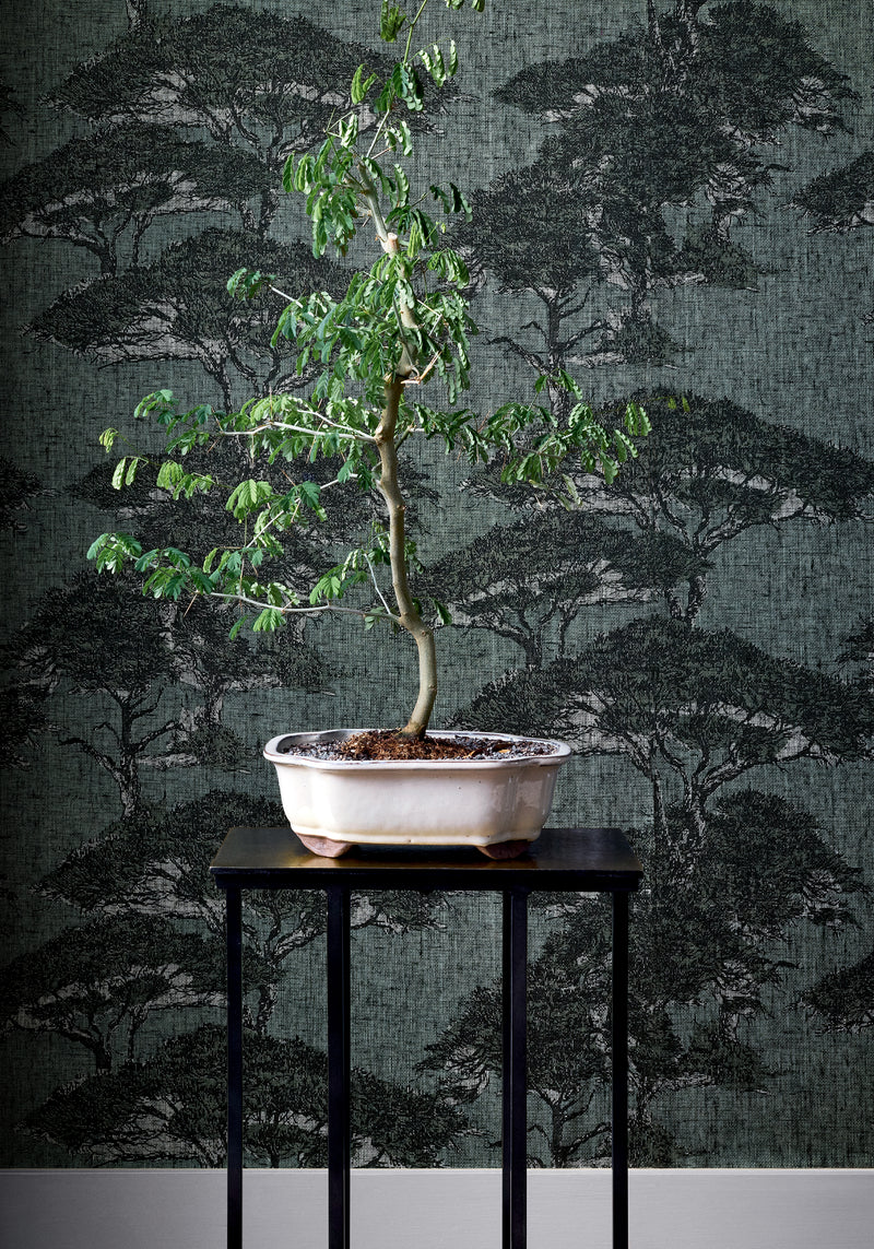 T24434 Torrey Pines Mineral Yutori Wallpaper by Thibaut