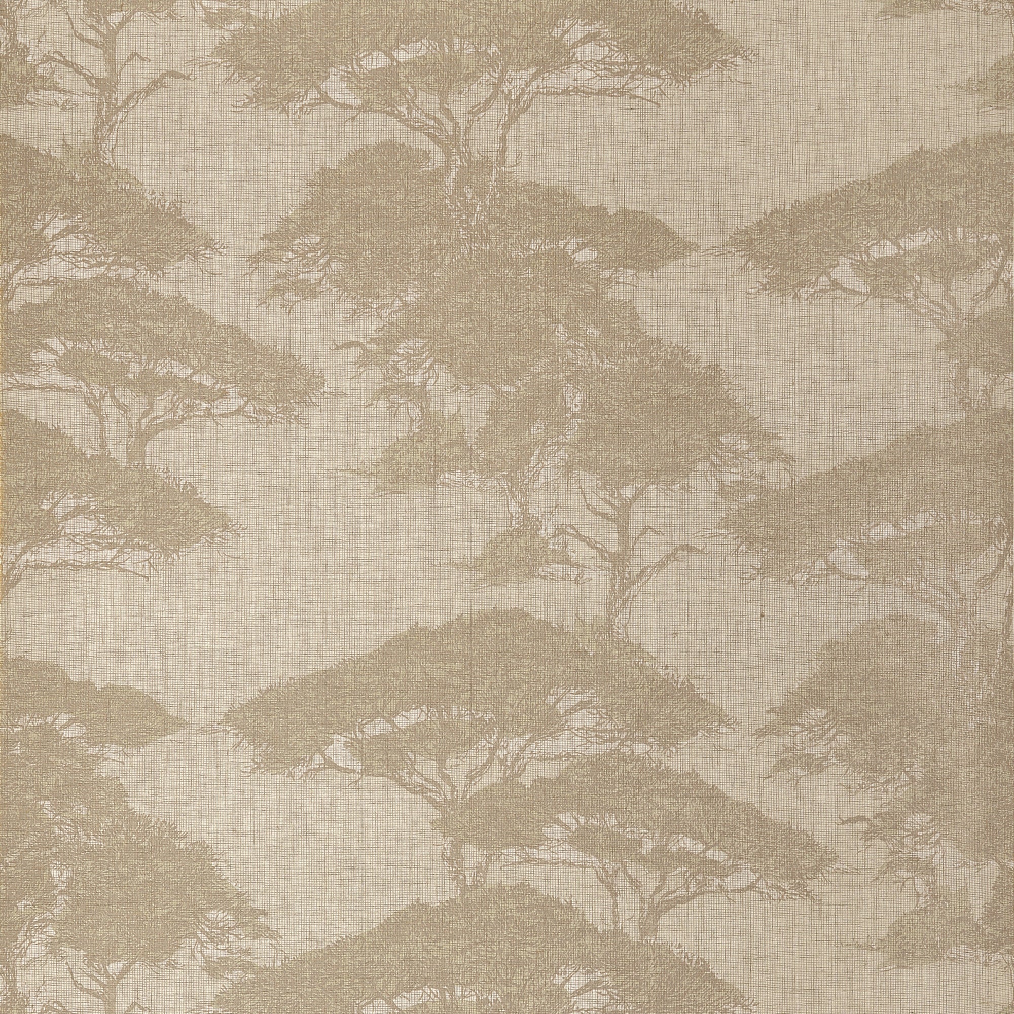 T24436 Torrey Pines Champagne Yutori Wallpaper by Thibaut