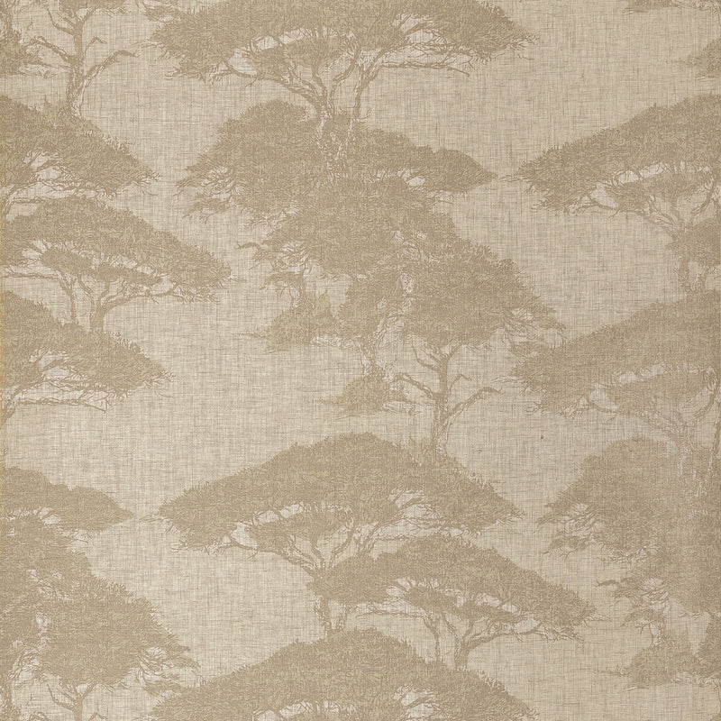 T24436 Torrey Pines Champagne Yutori Wallpaper by Thibaut