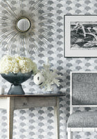 T27011 Hidden Hills Black and White Natural Resource 3 Wallpaper by Thibaut