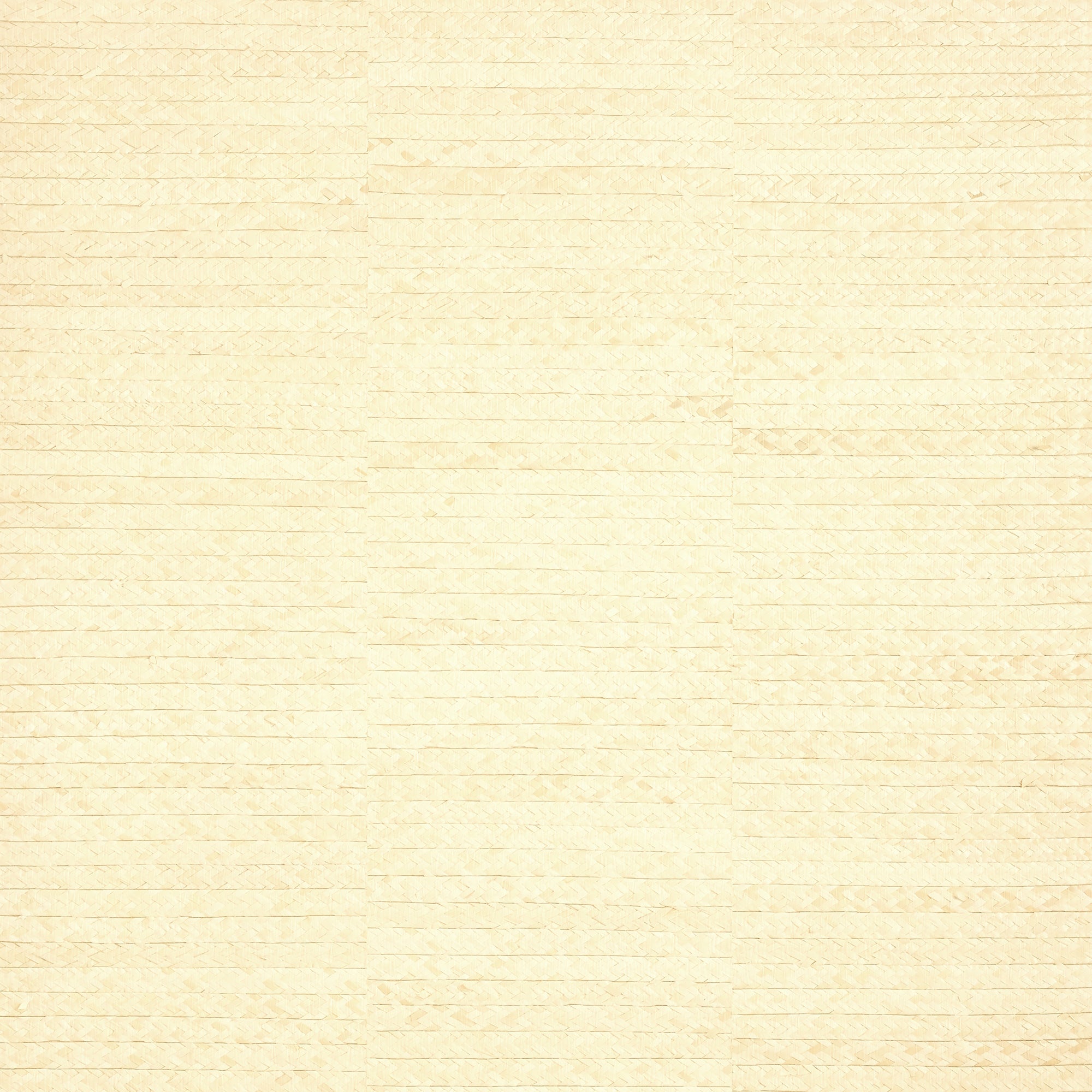 T27043 Pima Braid Natural Natural Resource 3 Wallpaper by Thibaut