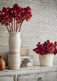 T27044 Pima Braid Grey Natural Resource 3 Wallpaper by Thibaut