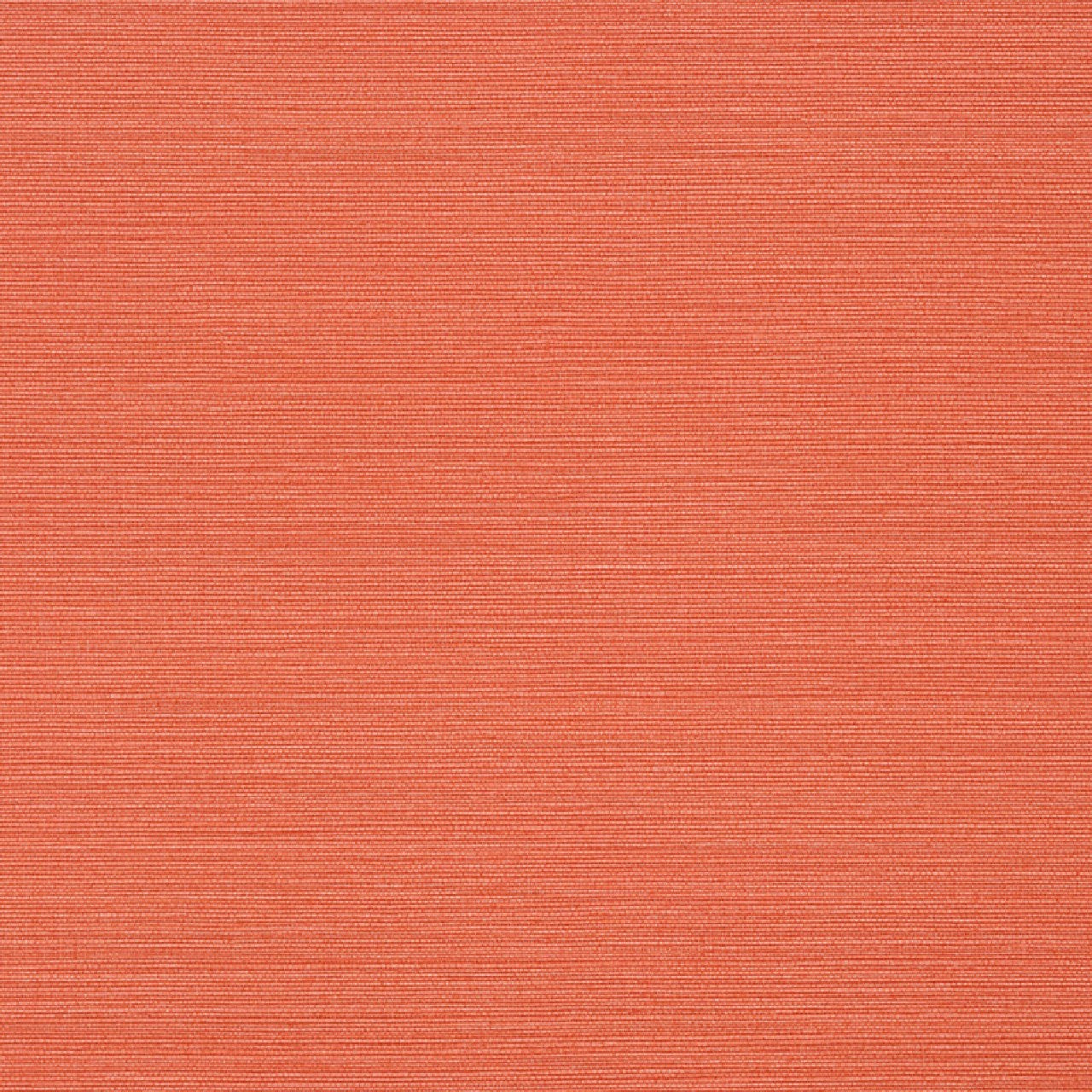 T289 Taluk Sisal Texture Resource 6 Wallpaper By Thibaut