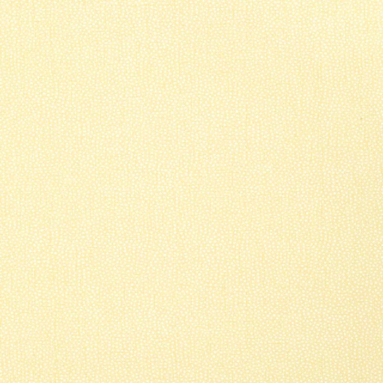 T2969 Turini Dots Paramount Wallpaper By Thibaut