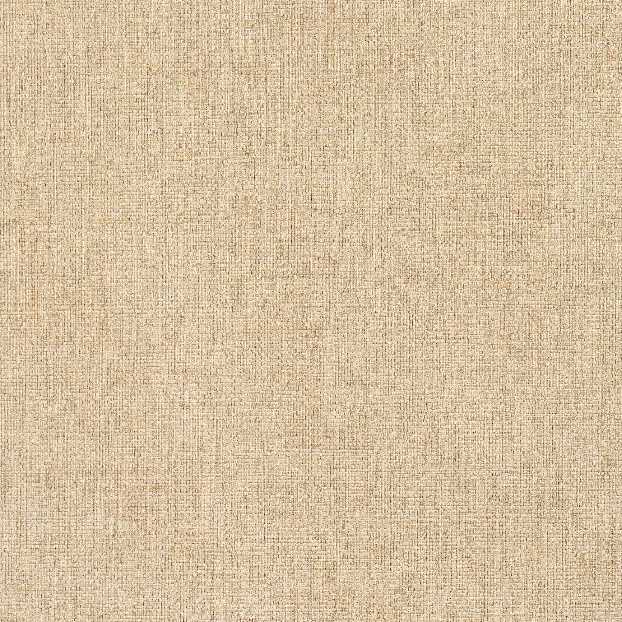 T34022 Town Bank Straw Texture Resource 9 Wallpaper by Thibaut