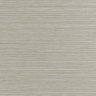 T34068 Tenaya Fog Texture Resource 9 Wallpaper by Thibaut