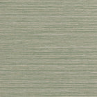 T34069 Tenaya Sage Texture Resource 9 Wallpaper by Thibaut