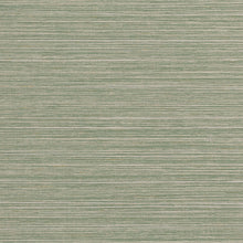 T34069 Tenaya Sage Texture Resource 9 Wallpaper by Thibaut