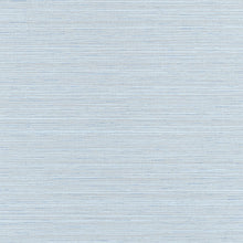T34070 Tenaya Spa Blue Texture Resource 9 Wallpaper by Thibaut