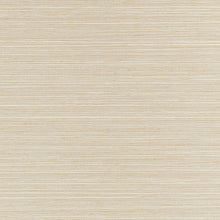 T34072 Tenaya Beige Texture Resource 9 Wallpaper by Thibaut
