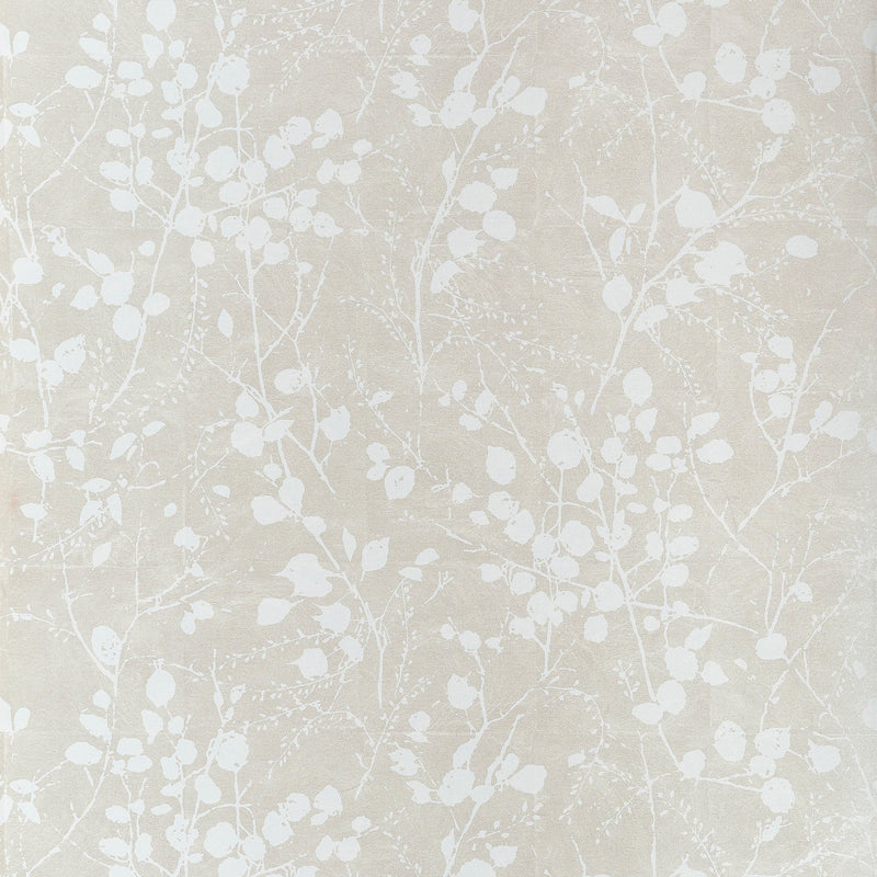 T34096 Katamari Bud Pearl and White Texture Resource 9 Wallpaper by Thibaut