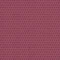 Mimi Indienne Raspberry Wallpaper by Thibaut