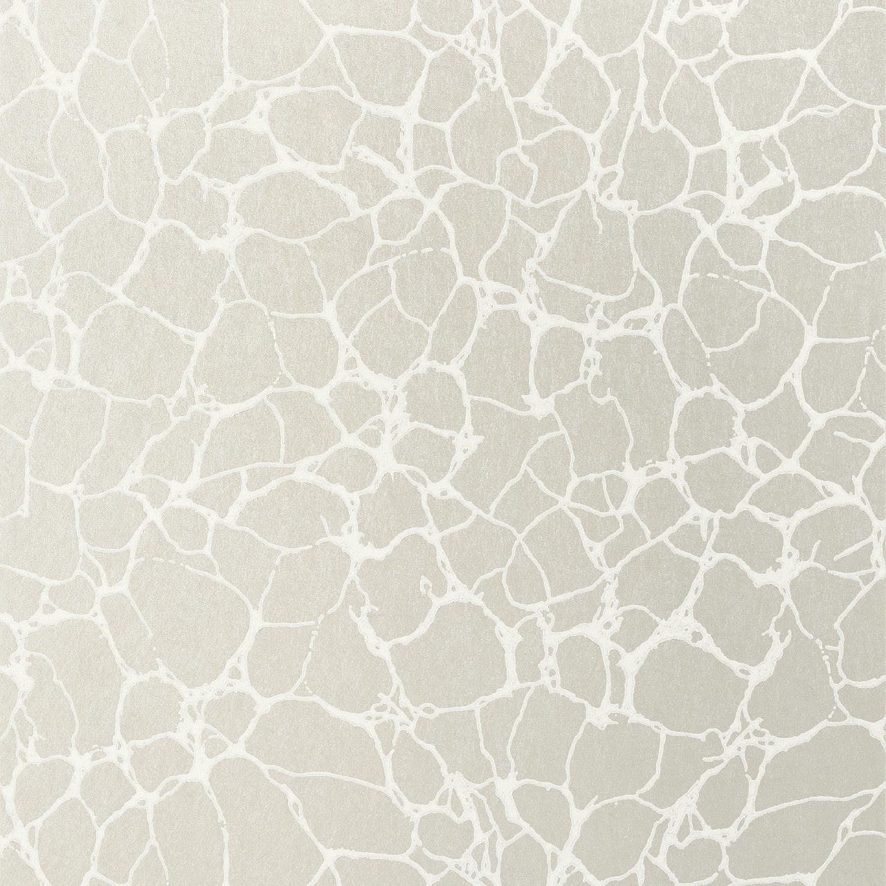 T4017 Amato Surface Resource Wallpaper By Thibaut