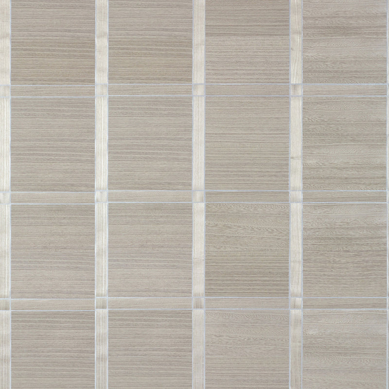 T41003 Wood Panel Modern Resource 4 Taupe and Metallic Silver Wallpaper by Thibaut