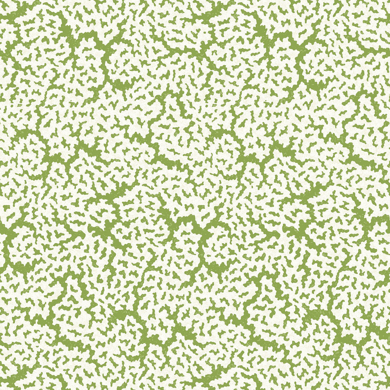 T42041 Maldives Sojourn Green Wallpaper by Thibaut