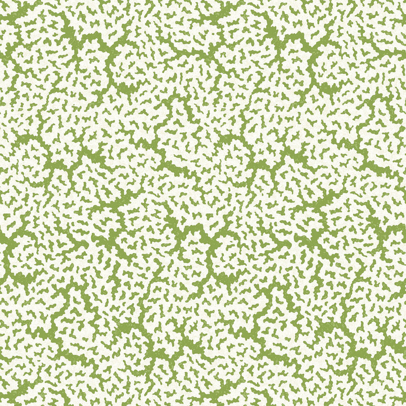 T42041 Maldives Sojourn Green Wallpaper by Thibaut