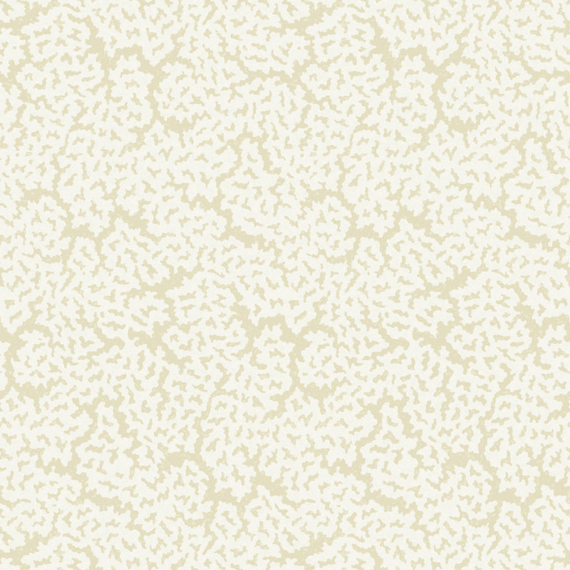 T42059 Maldives Sojourn Cream Wallpaper by Thibaut