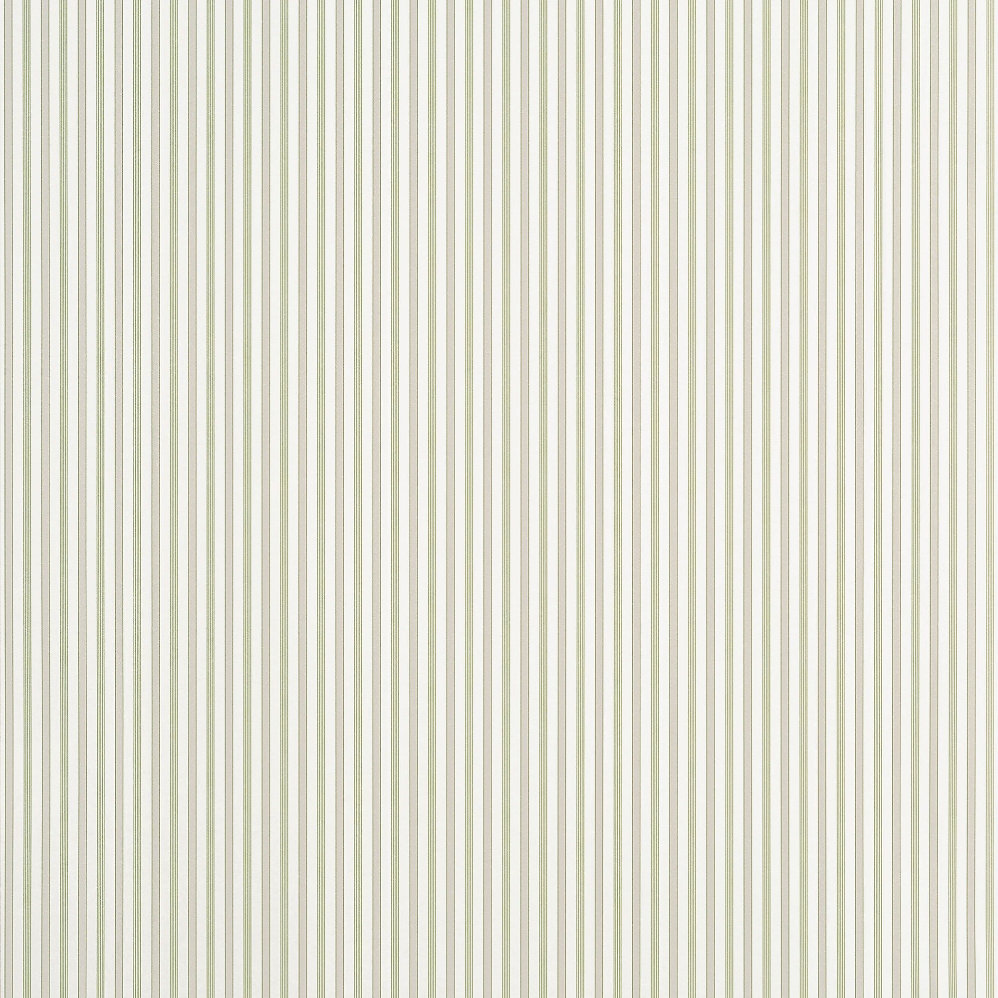 T44066 Conner Stripe Green and Beige Stripes and Checks Resource Wallpaper by Thibaut