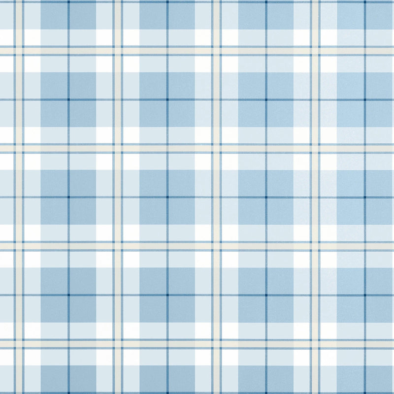 T44075 Douglas Plaid Light Blue Stripes and Checks Resource Wallpaper by Thibaut