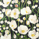 Tivoli Black Wanderlust Wallpaper by Thibaut