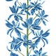 Mangrove Tree Blue and White Wanderlust Wallpaper by Thibaut