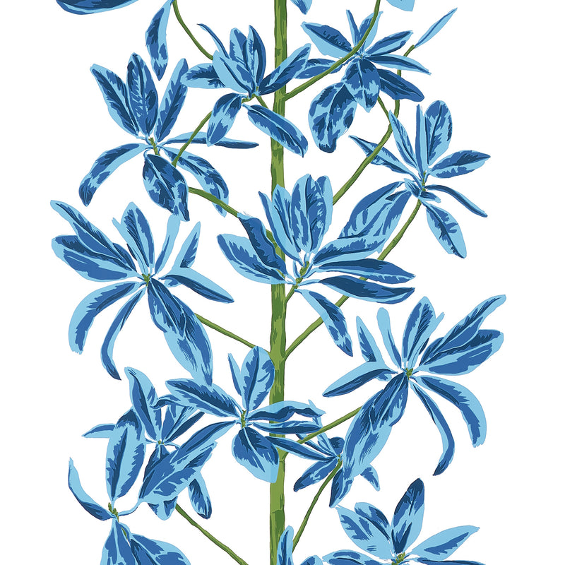 T45032 Mangrove Tree Blue and White Wanderlust Wallpaper by Thibaut