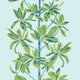 Mangrove Tree Turquoise Wanderlust Wallpaper by Thibaut