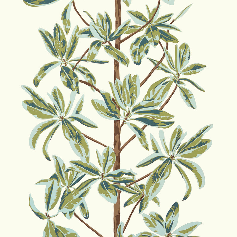 T45034 Mangrove Tree Sage Wanderlust Wallpaper by Thibaut