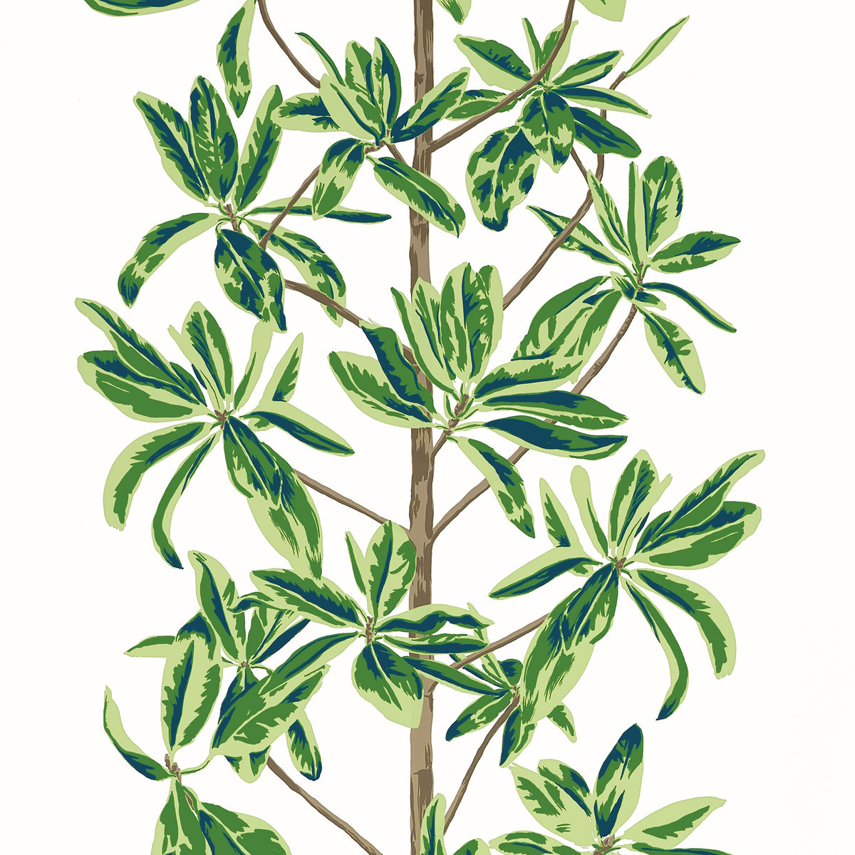 T45035 Mangrove Tree Green and White Wanderlust Wallpaper by Thibaut