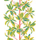 Mangrove Tree Coral Wanderlust Wallpaper by Thibaut
