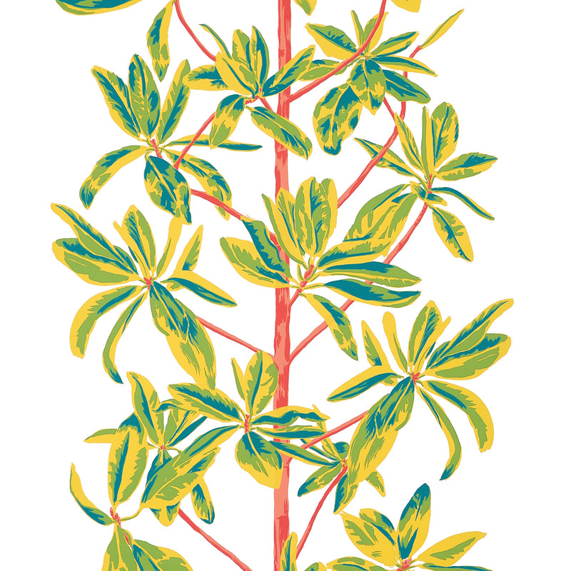 T45036 Mangrove Tree Coral Wanderlust Wallpaper by Thibaut