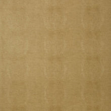 T75098 Kissimmee Faux Resource Camel Wallpaper by Thibaut