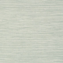 T75112 Jindo Grass Faux Resource Seamist Wallpaper by Thibaut