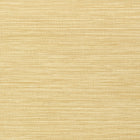 T75115 Jindo Grass Faux Resource Camel Wallpaper by Thibaut